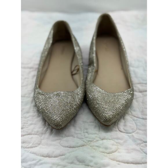 Express Shoes - Express women’s metallic sparkly size 9 flats